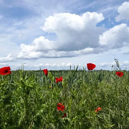 Nantucket Blue Дом отдыха *