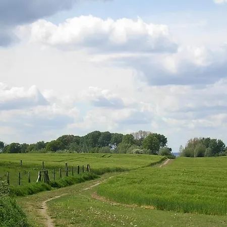 Nantucket Blue * Гросс-Шванзе