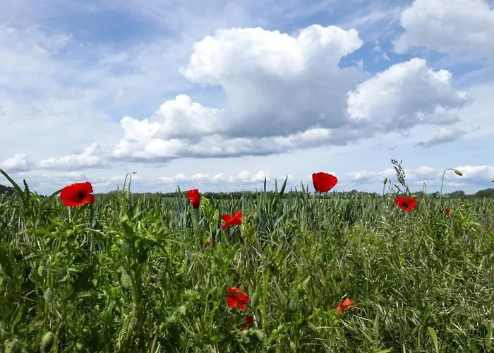 Nantucket Blue בית נופש *